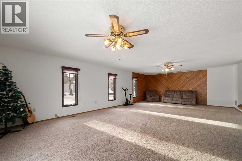 5002 49 Street, Sedgewick, Alberta  T0B 4C0 - Photo 30 - A2281718