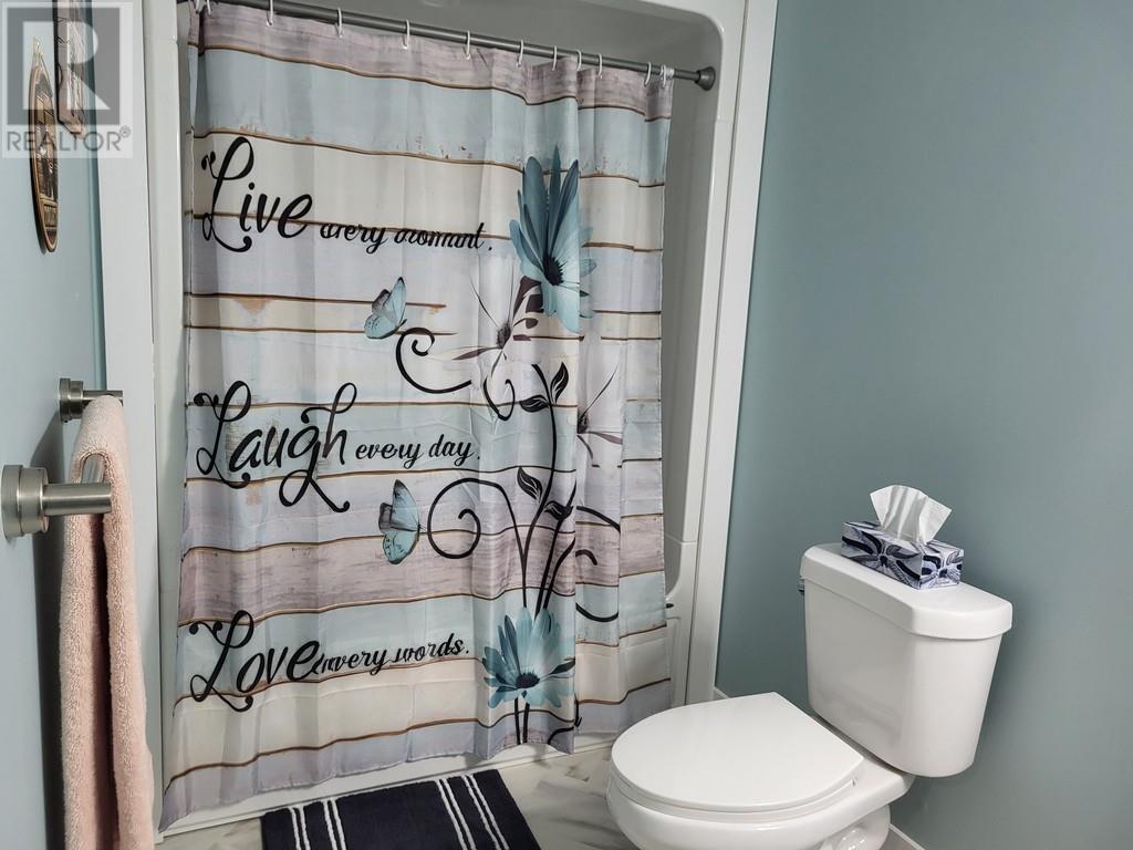 228 Main Street, Grand Falls Windsor, Newfoundland & Labrador  A2B 1J8 - Photo 25 - 1294289