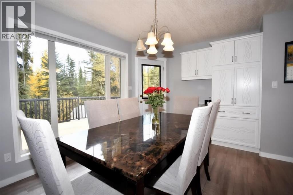 309 Eaton Drive, Hinton, Alberta  T7V 1Y5 - Photo 9 - A2263626