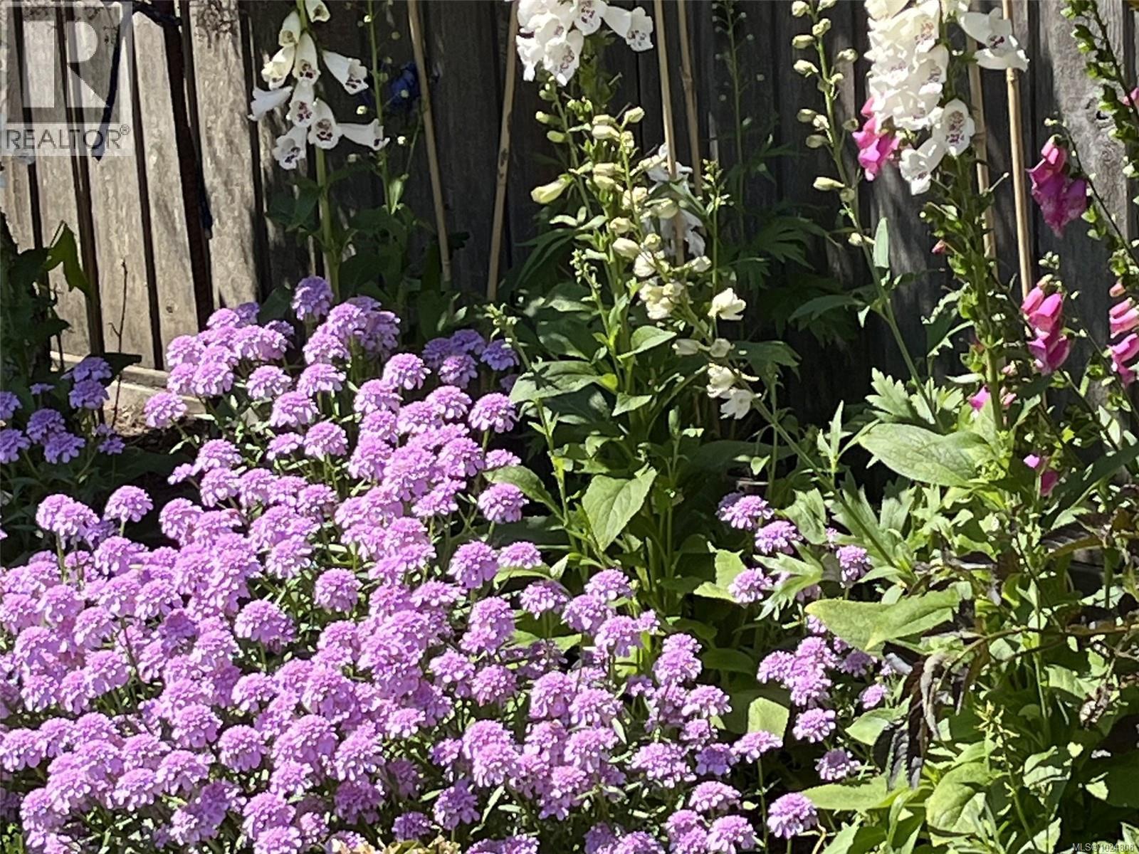 1900 Mount Newton Cross Rd, Central Saanich, British Columbia  V8M 1K8 - Photo 25 - 1024808