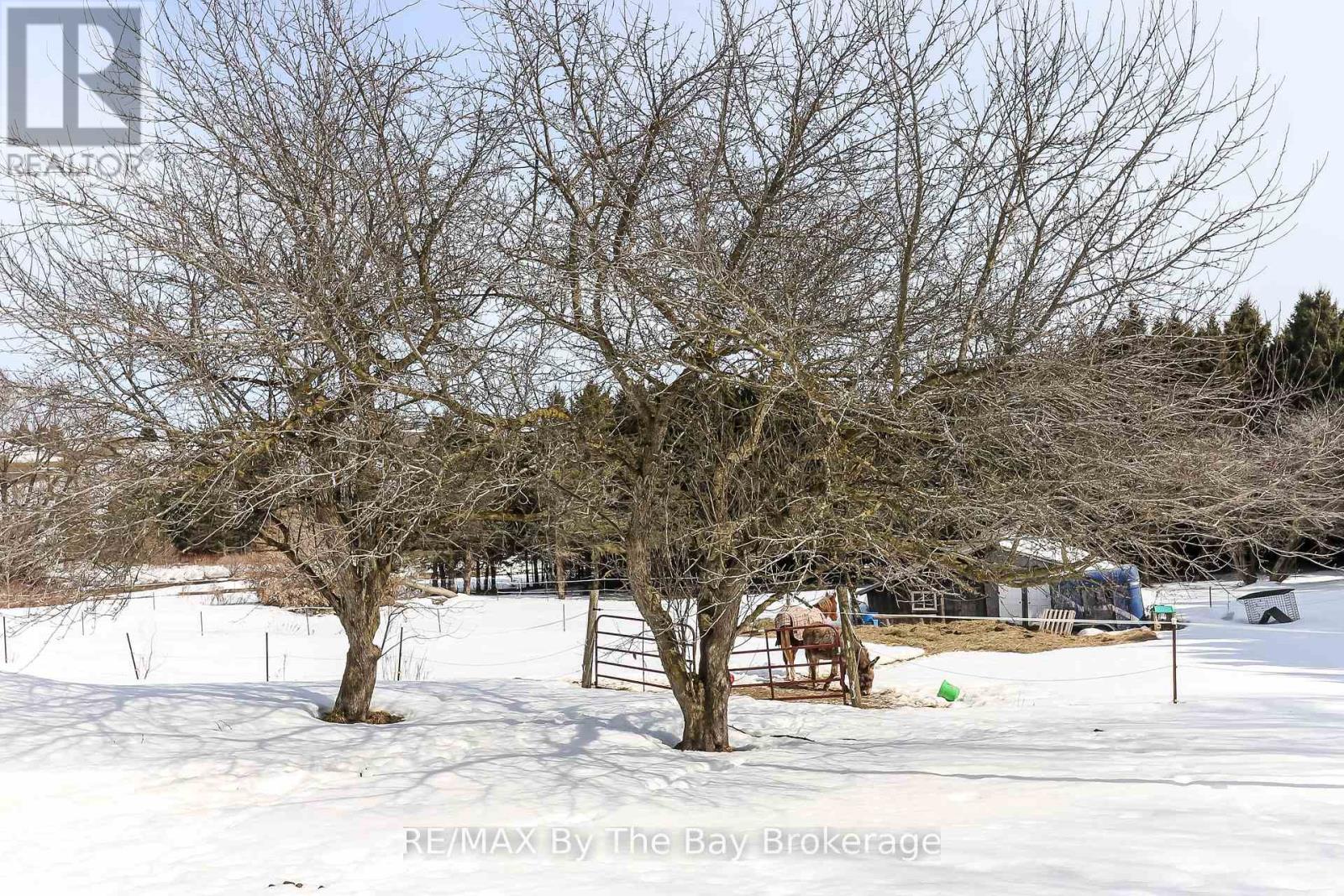 2553 County 42 Road, Clearview, Ontario  L0M 1S0 - Photo 47 - S12757382