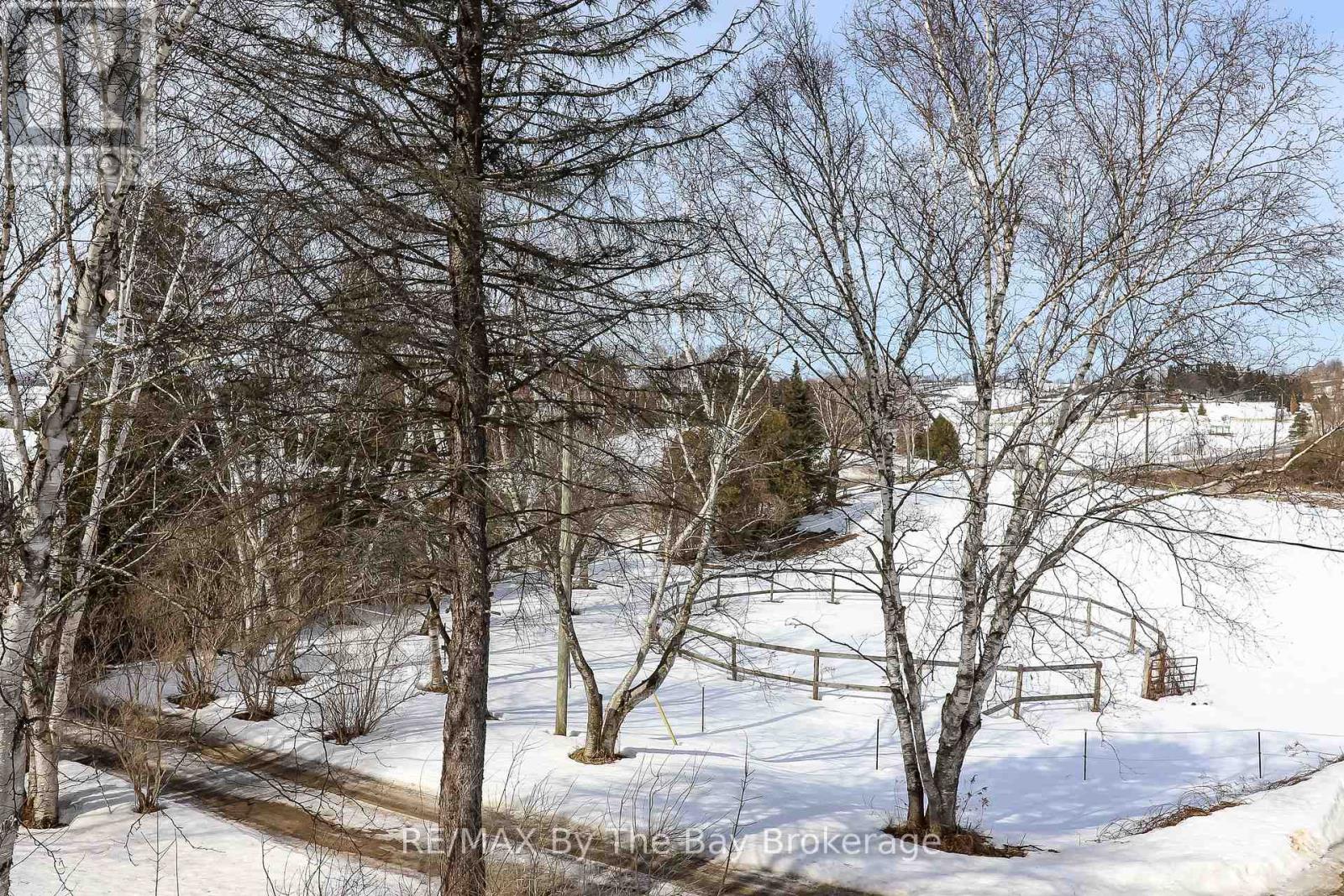 2553 County 42 Road, Clearview, Ontario  L0M 1S0 - Photo 39 - S12757382