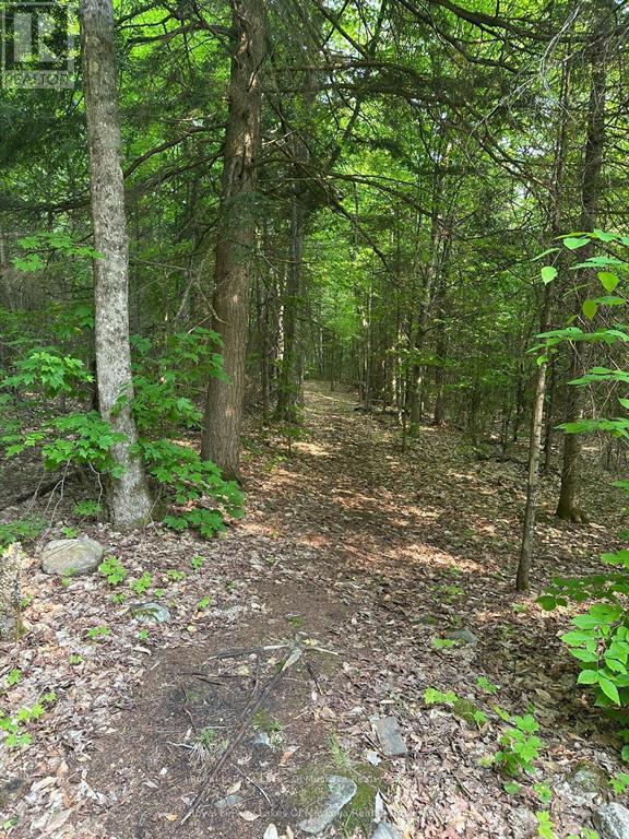 280 Proudfoot Road, Joly, Ontario  P0A 1Z0 - Photo 15 - X12757260