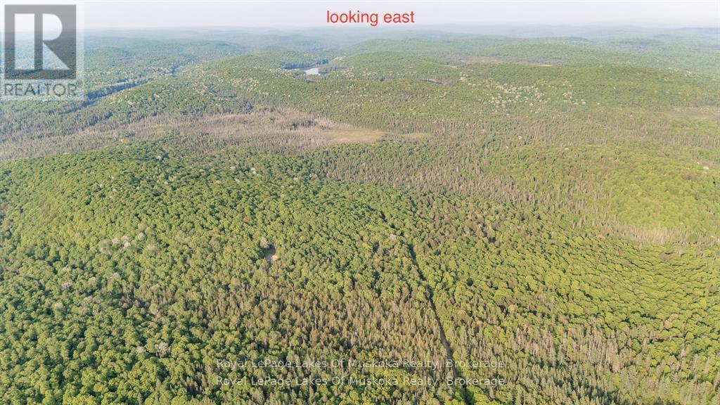 280 Proudfoot Road, Joly, Ontario  P0A 1Z0 - Photo 23 - X12757260