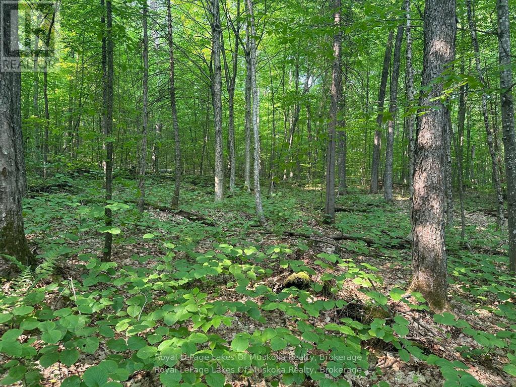 280 Proudfoot Road, Joly, Ontario  P0A 1Z0 - Photo 18 - X12757260