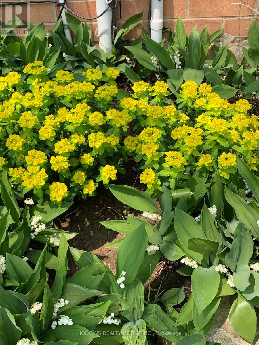 2286 Yorktown Circle, Mississauga, Ontario  L5M 5Y1 - Photo 34 - W12757904