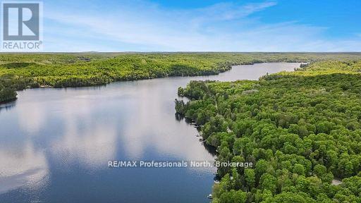 4696 County Road 21, Dysart Et Al, Ontario  K0M 1S0 - Photo 50 - X12757580