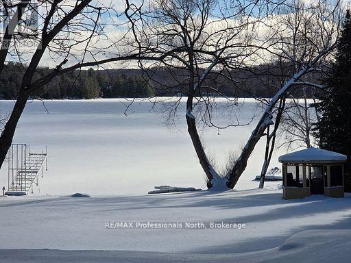 4696 County Road 21, Dysart Et Al, Ontario  K0M 1S0 - Photo 2 - X12757580