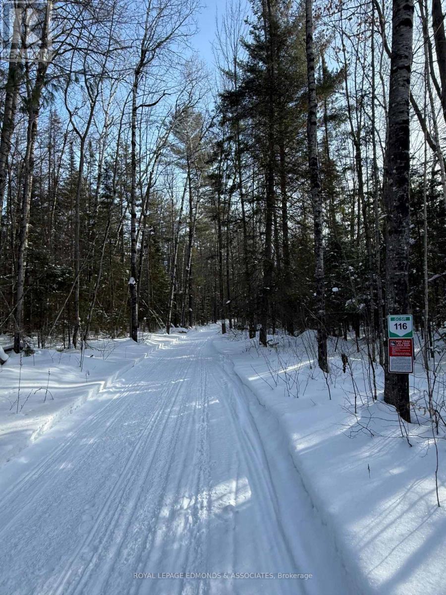 0000 Nangor Trail, Whitewater Region, Ontario  K0J 2L0 - Photo 3 - X12612258