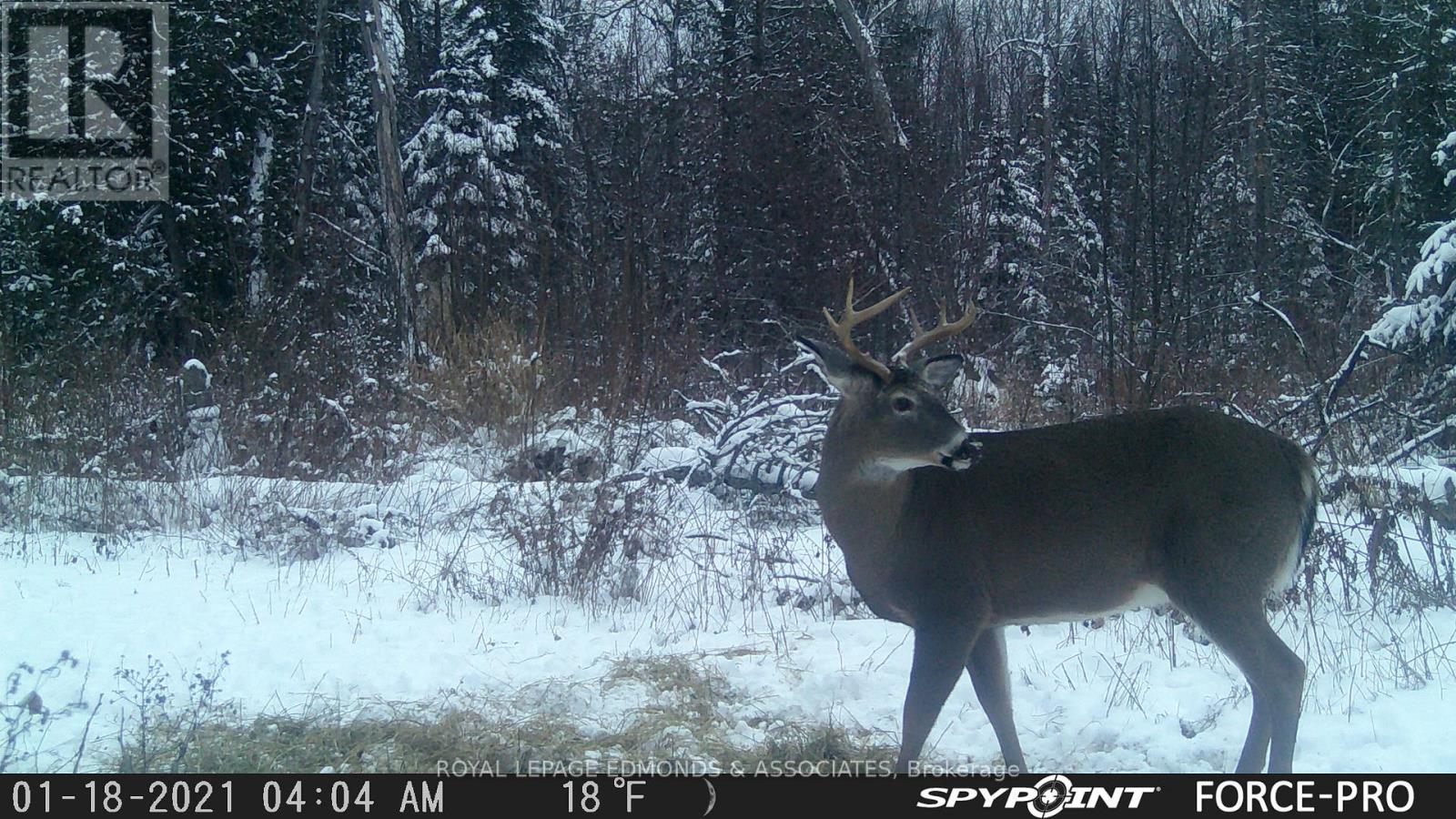 0000 Nangor Trail, Whitewater Region, Ontario  K0J 2L0 - Photo 2 - X12612258