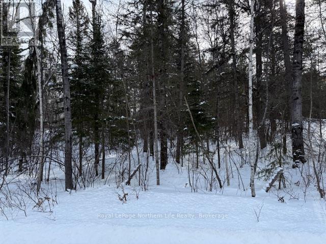 Con 22 Pt Lot 17 Hart Road, Callander, Ontario  P0H 1H0 - Photo 5 - X12756802
