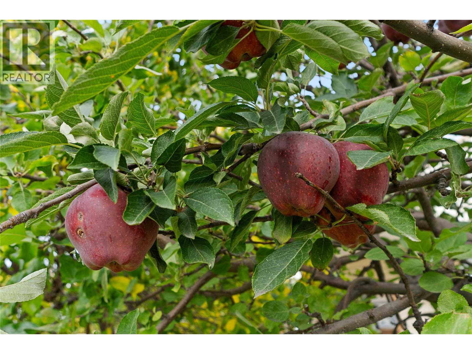 864 Nicolani Drive, Kamloops, British Columbia  V2B 5B3 - Photo 17 - 10374904