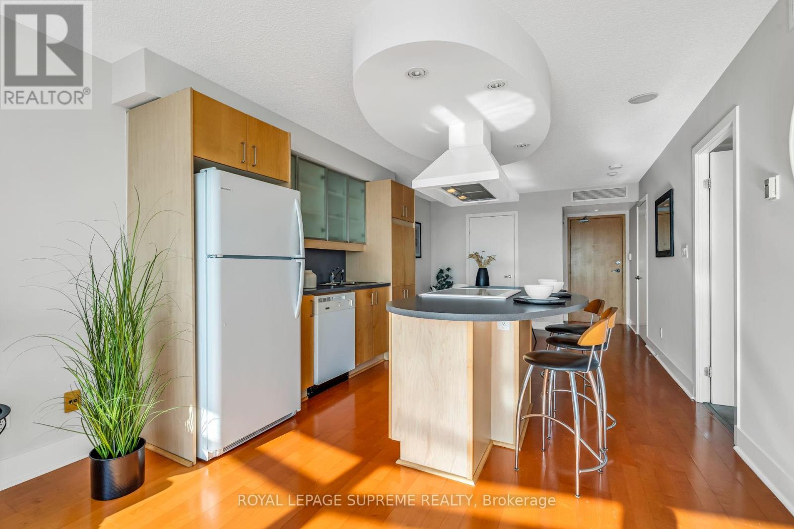 1226 - 550 Queens Quay W, Toronto, Ontario  M5V 3M8 - Photo 16 - C12757604