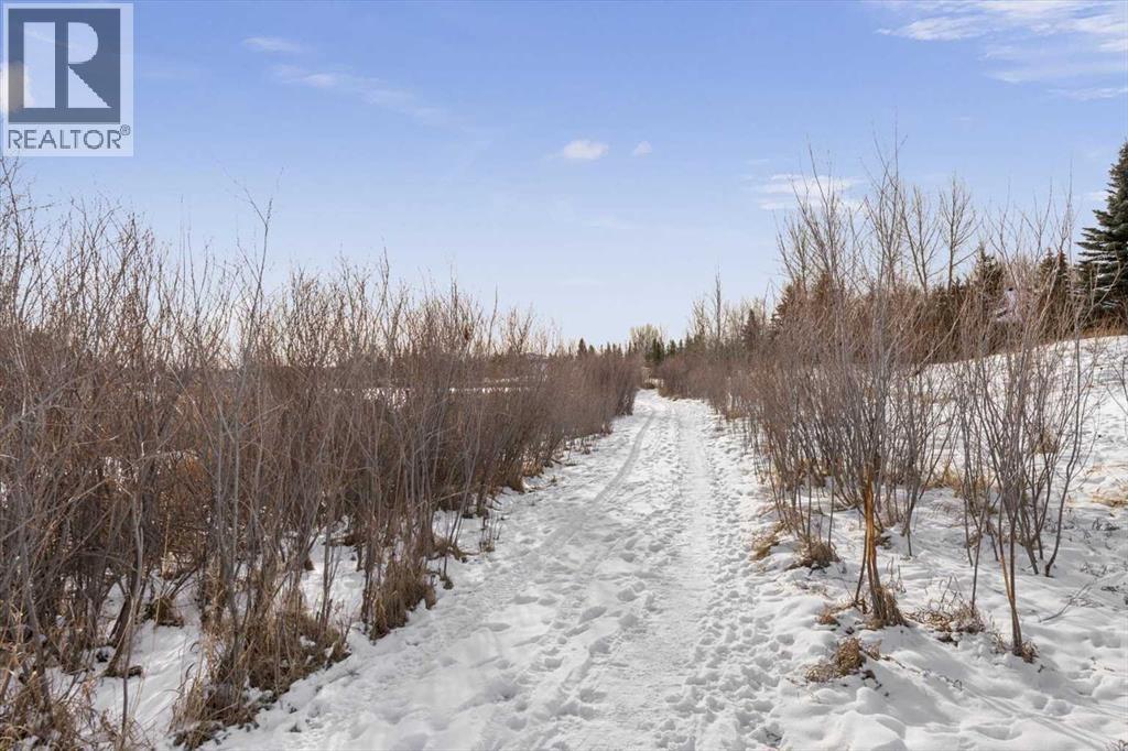 215 Aspen Green, Rural Rocky View County, Alberta  T3Z 3C1 - Photo 37 - A2278781