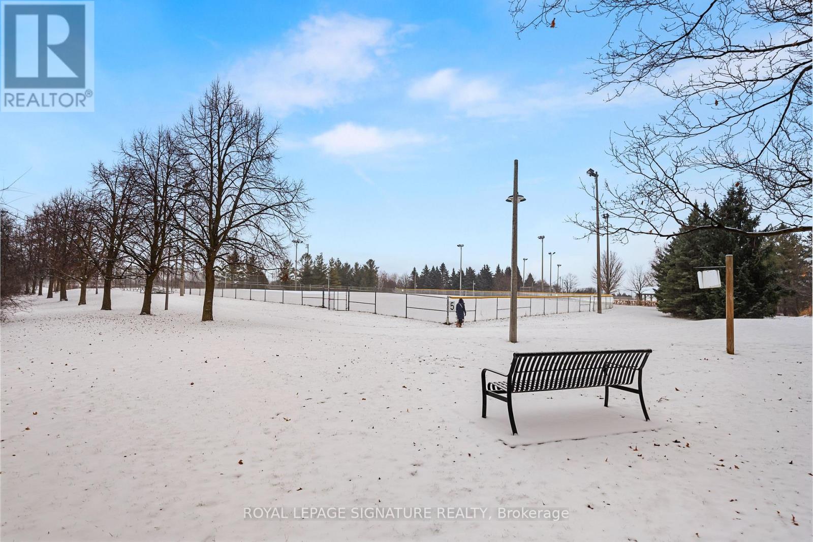 101 Mcalister Avenue, Richmond Hill, Ontario  L4S 0L2 - Photo 34 - N12756864