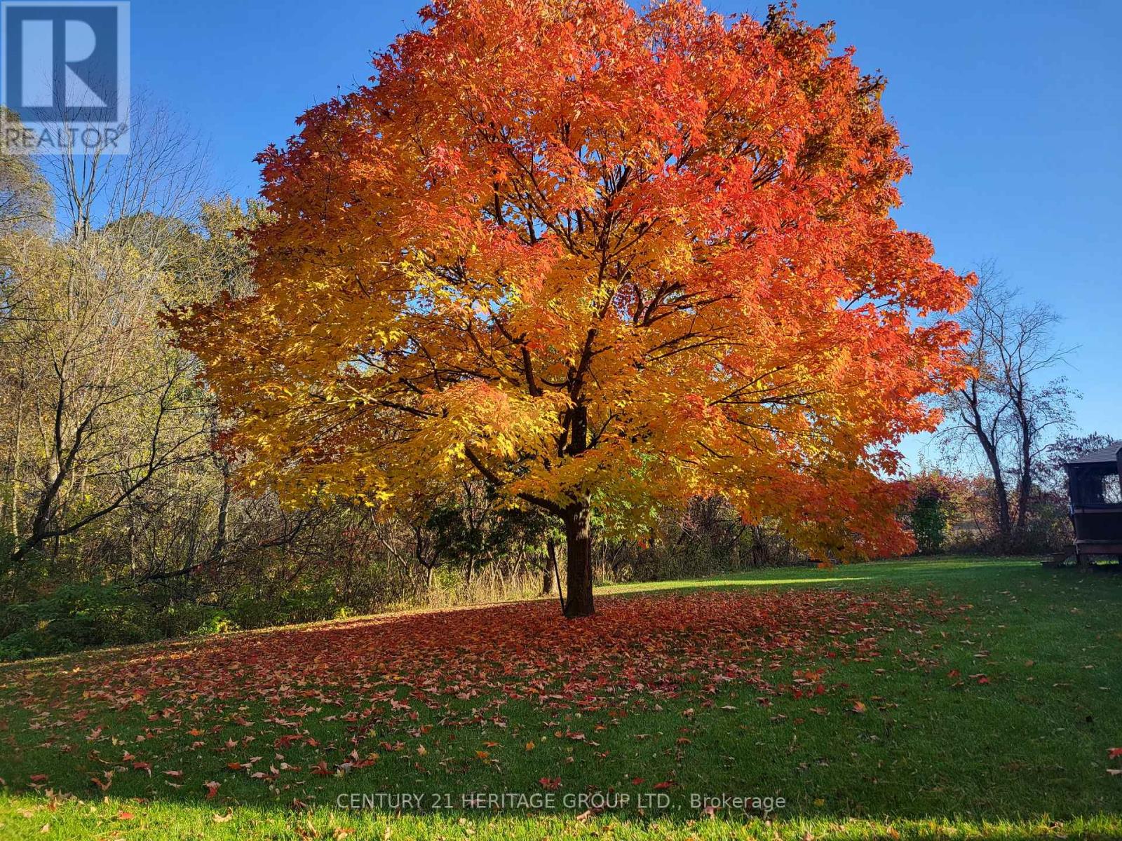 6675 Scotch Line, Essa, Ontario  L9R 1V2 - Photo 44 - N12757694