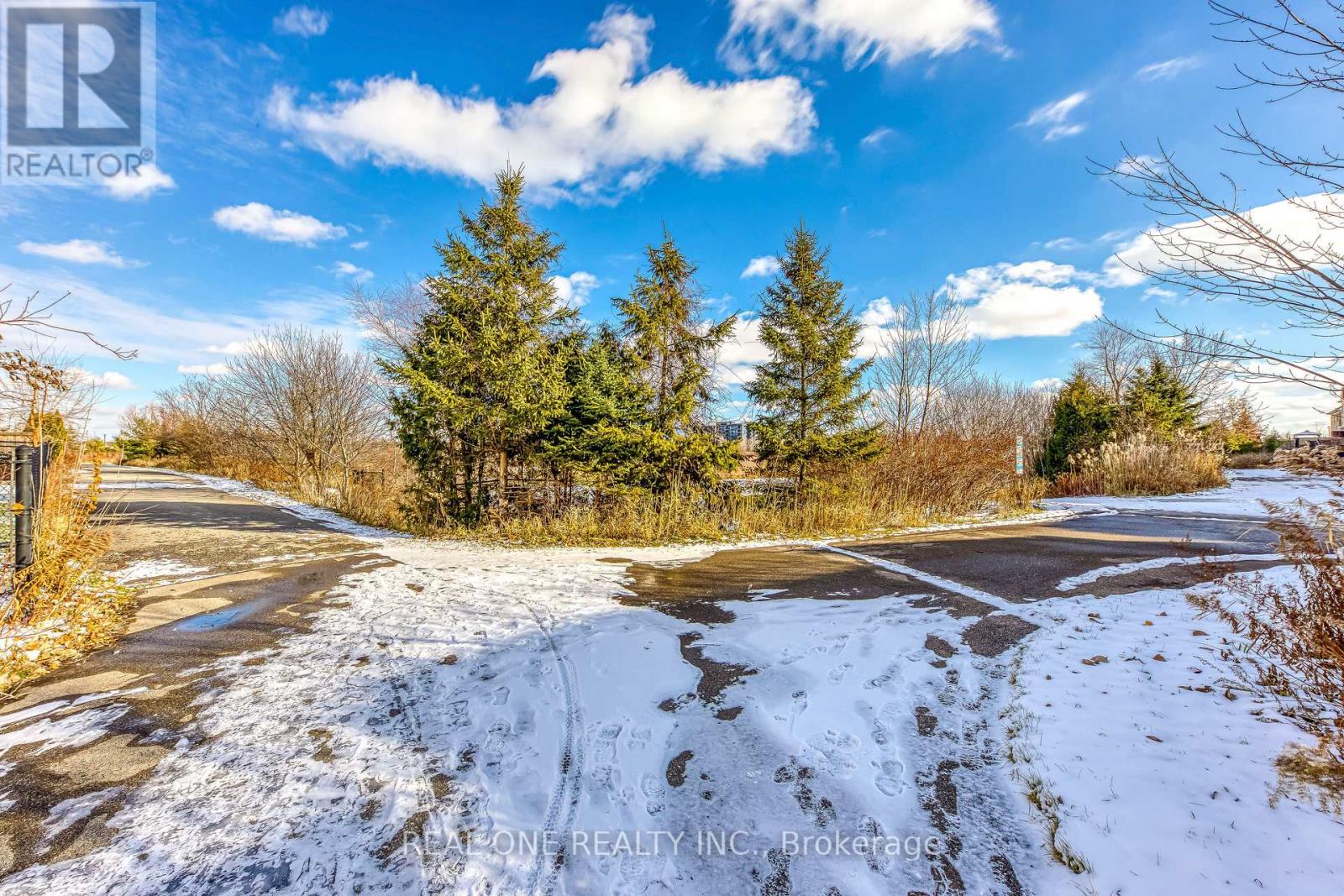 1126 Tupper Drive, Milton, Ontario  L9T 0A9 - Photo 40 - W12757308