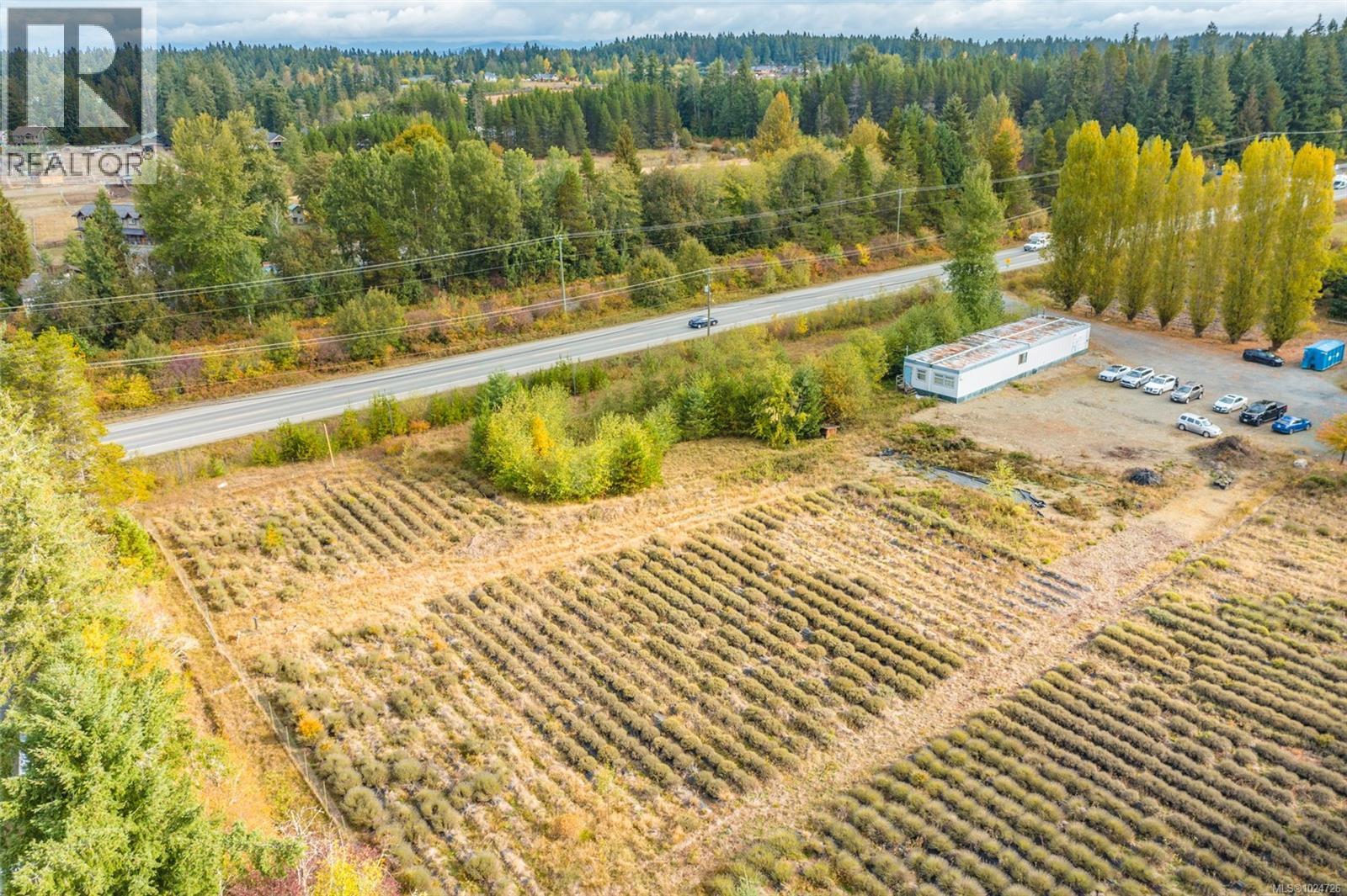 2116 Alberni Hwy, Errington, British Columbia  V0R 1M0 - Photo 3 - 1024726