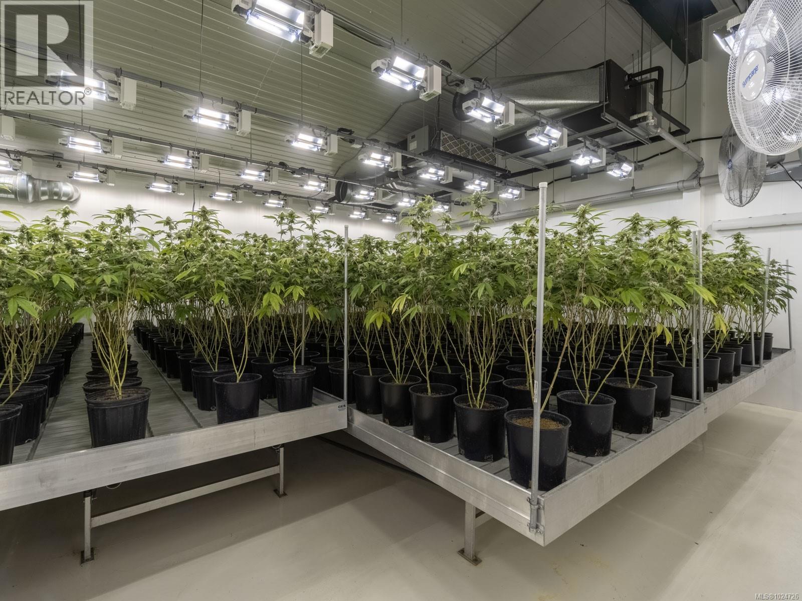 2116 Alberni Hwy, Errington, British Columbia  V0R 1M0 - Photo 8 - 1024726