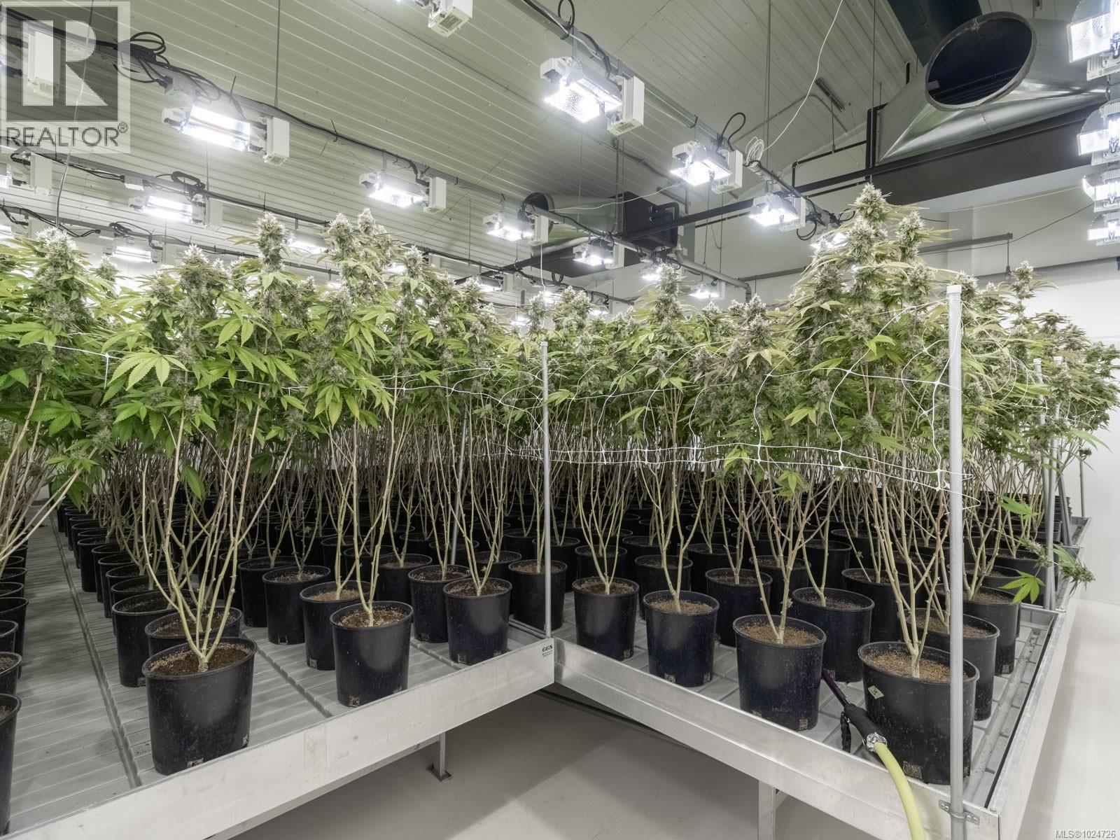 2116 Alberni Hwy, Errington, British Columbia  V0R 1M0 - Photo 9 - 1024726