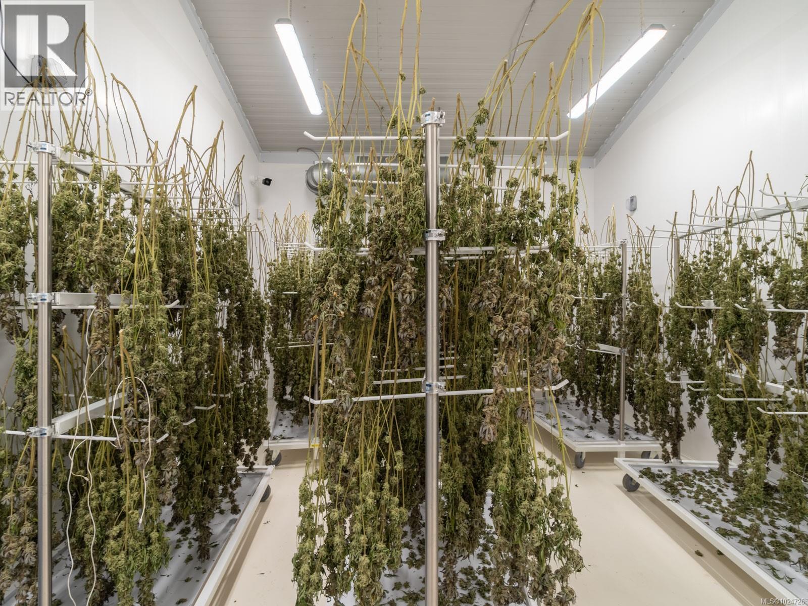 2116 Alberni Hwy, Errington, British Columbia  V0R 1M0 - Photo 10 - 1024726