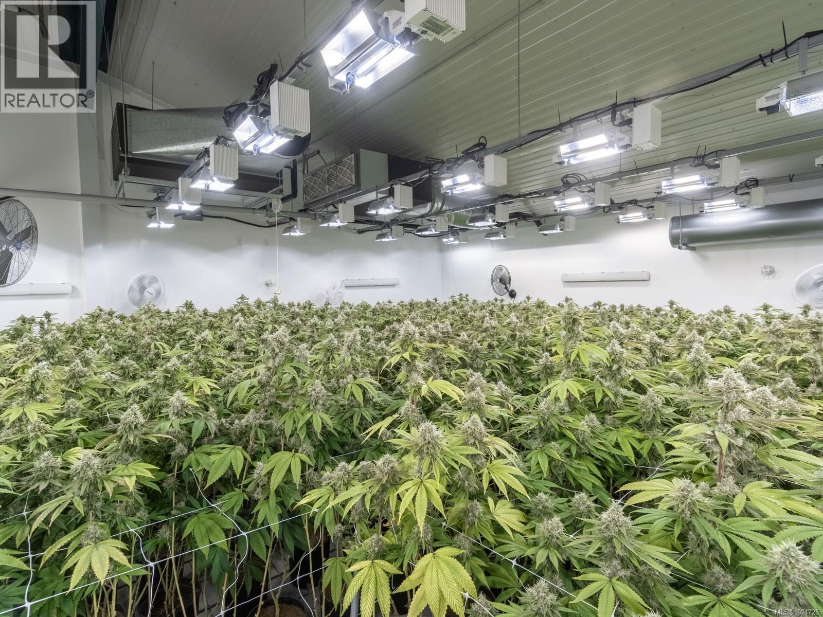 2116 Alberni Hwy, Errington, British Columbia  V0R 1M0 - Photo 7 - 1024726