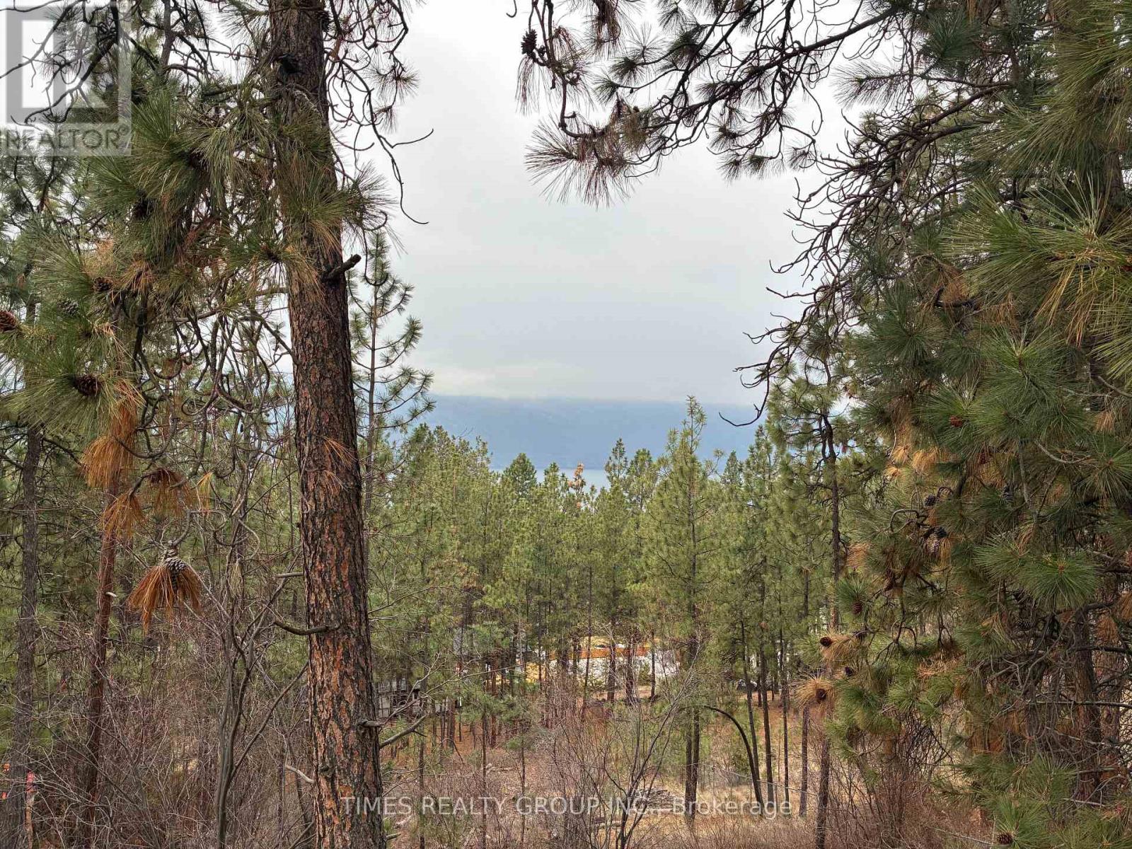 Lot 2 Forest Hills Drive, Lake Country, British Columbia  V4V 1A5 - Photo 6 - X12757112