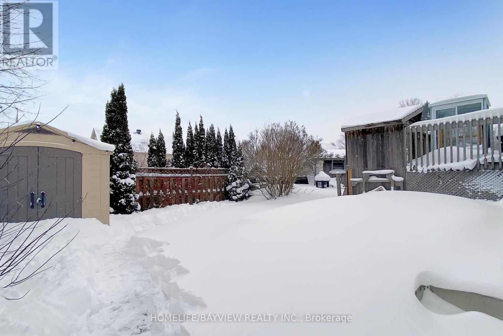 241 Simon Street, Shelburne, Ontario  L0N 1S4 - Photo 12 - X12756690