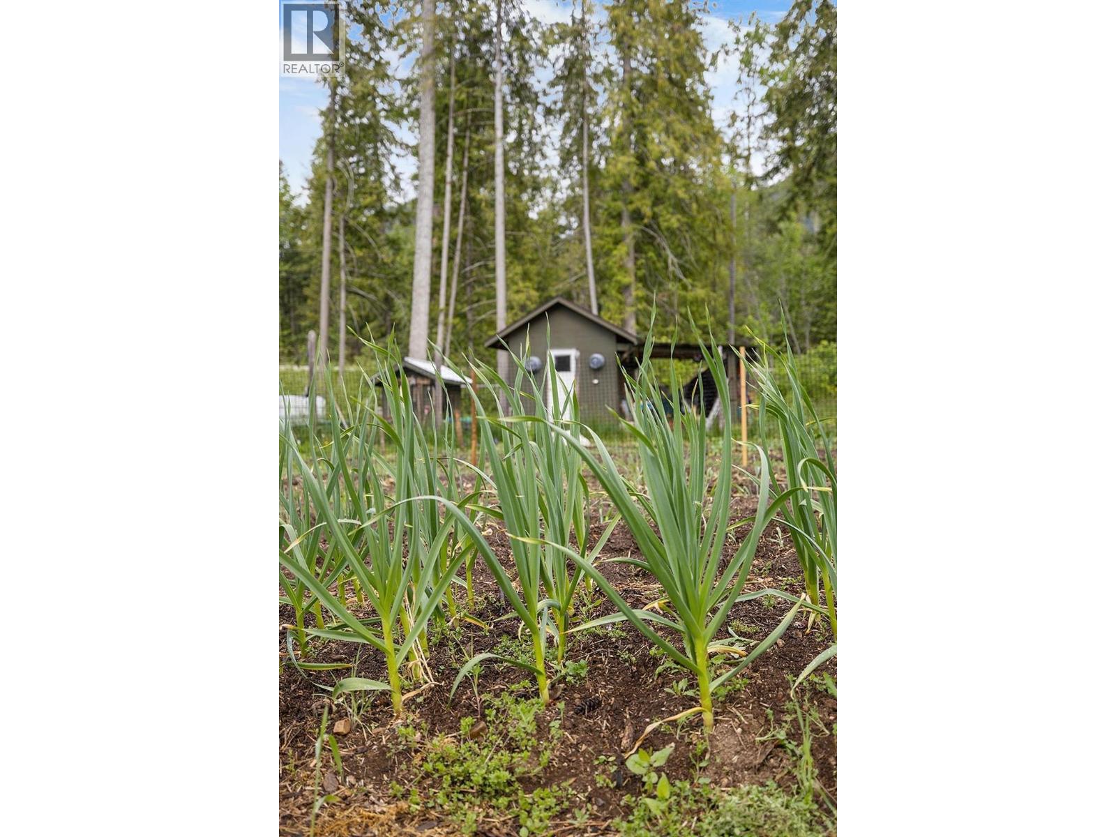16317 Bowe Road, Crawford Bay, British Columbia  V0B 1E0 - Photo 5 - 10374938