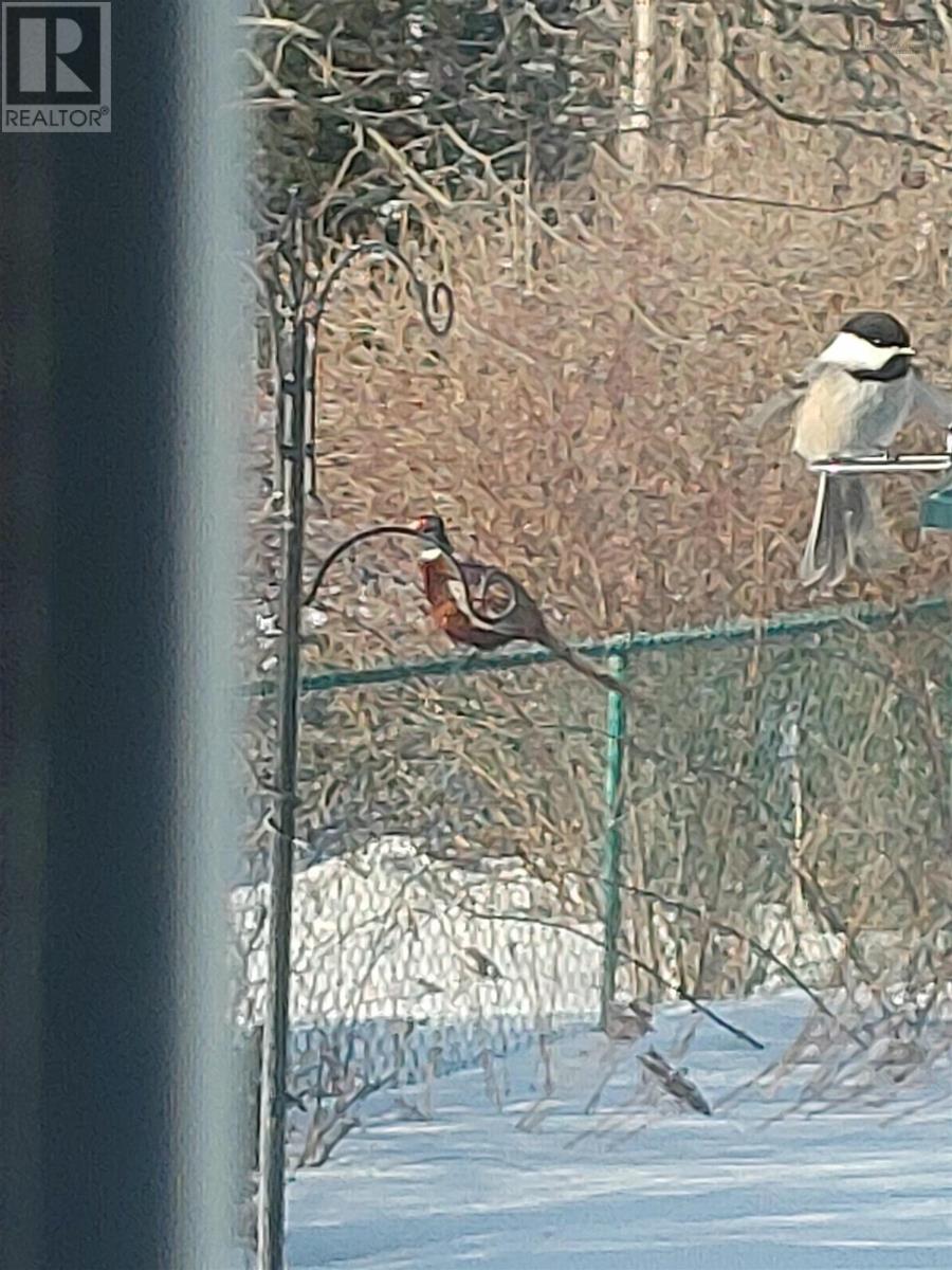 740 Willow Street, Hilden, Nova Scotia  B2N 5H2 - Photo 17 - 202601914