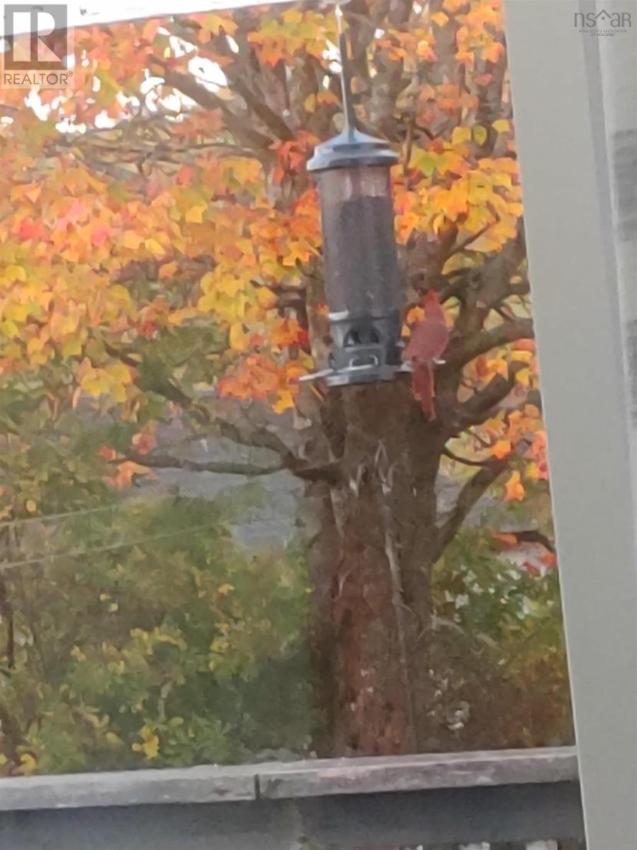 740 Willow Street, Hilden, Nova Scotia  B2N 5H2 - Photo 16 - 202601914