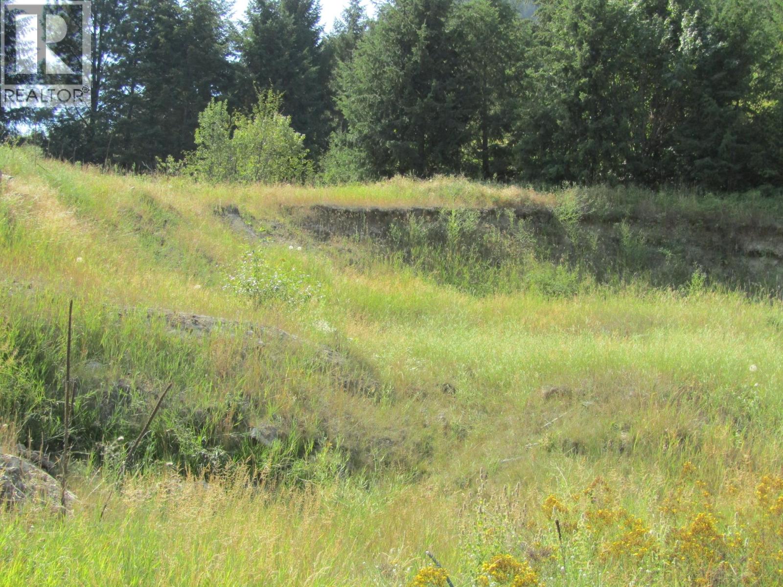 8841 Riverside Drive, Grand Forks, British Columbia  V0H 1H0 - Photo 3 - 10374775