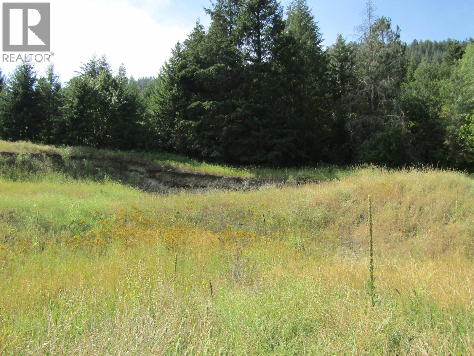 8841 Riverside Drive, Grand Forks, British Columbia  V0H 1H0 - Photo 1 - 10374775