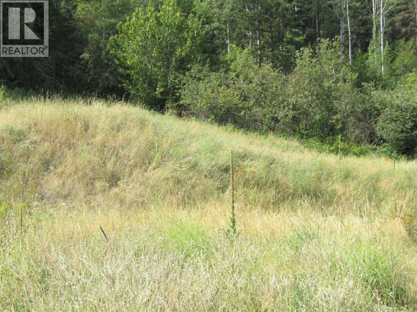 8841 Riverside Drive, Grand Forks, British Columbia  V0H 1H0 - Photo 5 - 10374775