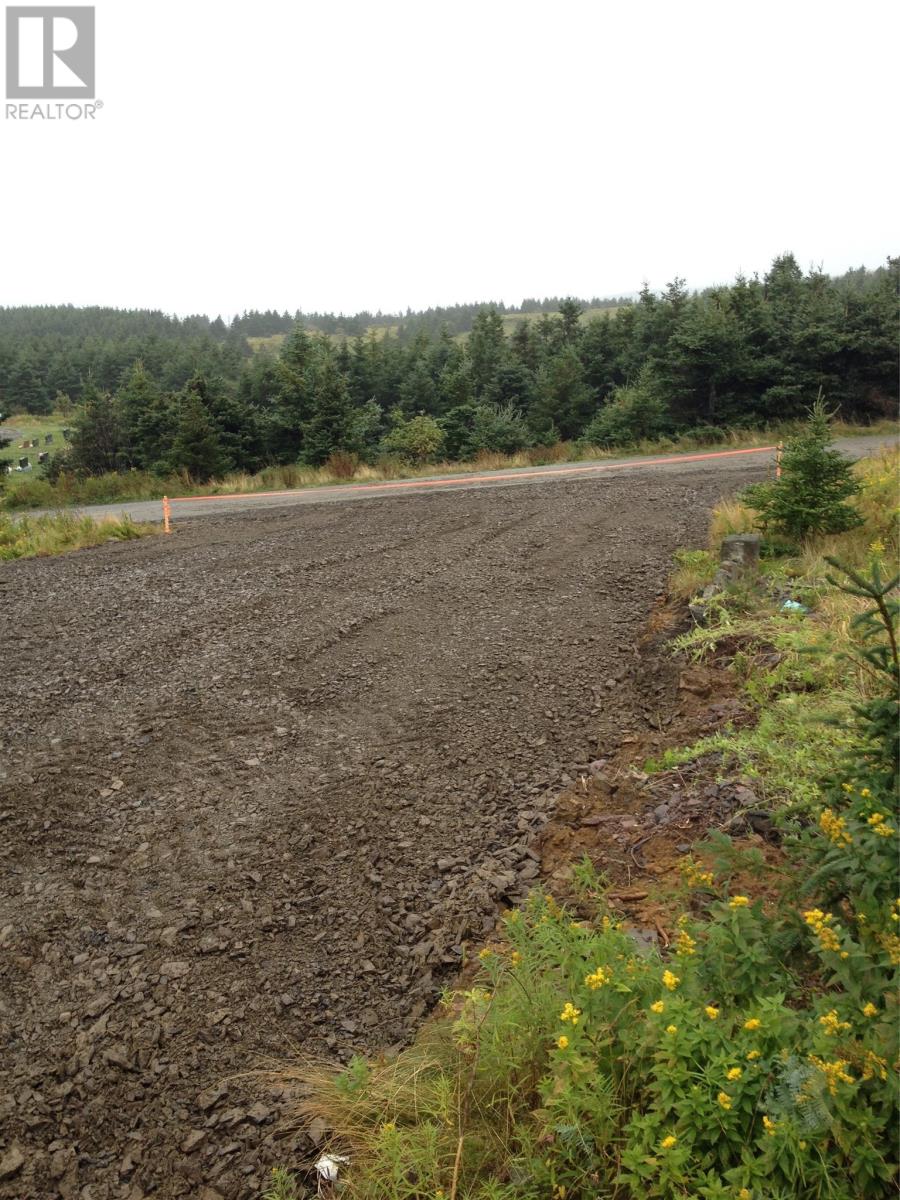 4 Cemetery Hill, Bell Island, Newfoundland & Labrador  A0A 4H0 - Photo 2 - 1294287