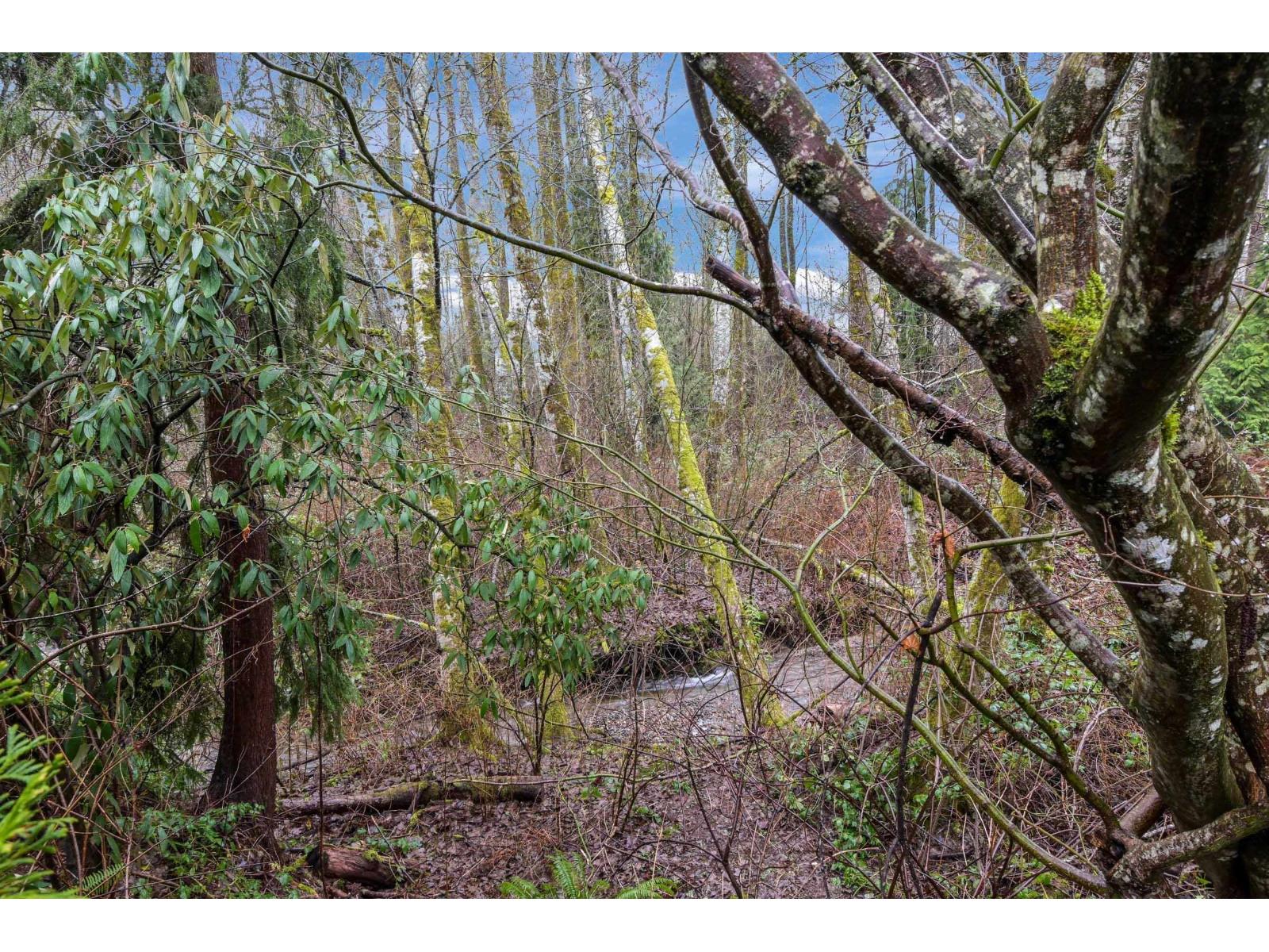 8099 148a Street, Surrey, British Columbia  V3S 7H4 - Photo 33 - R3085372