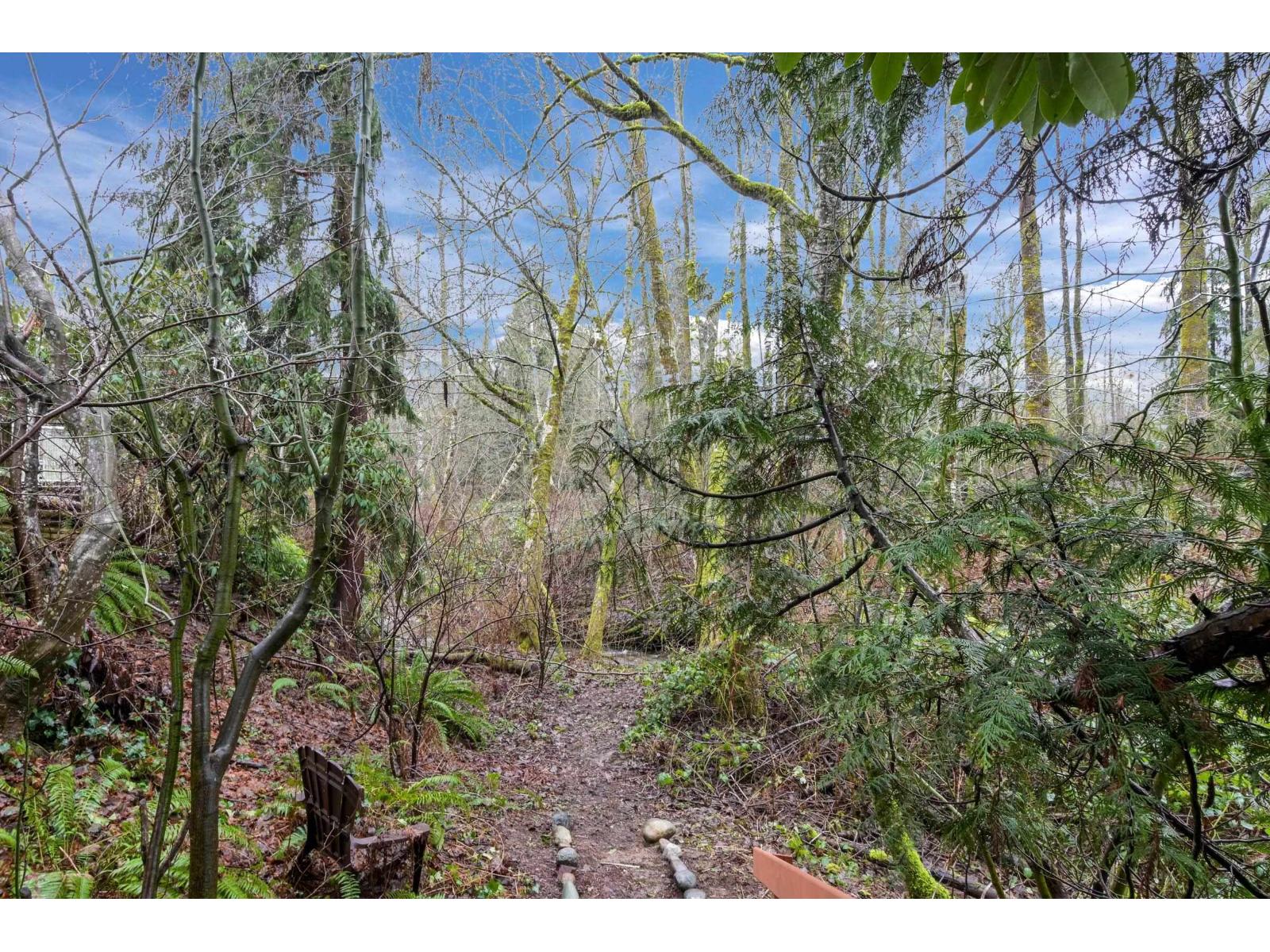 8099 148a Street, Surrey, British Columbia  V3S 7H4 - Photo 34 - R3085372