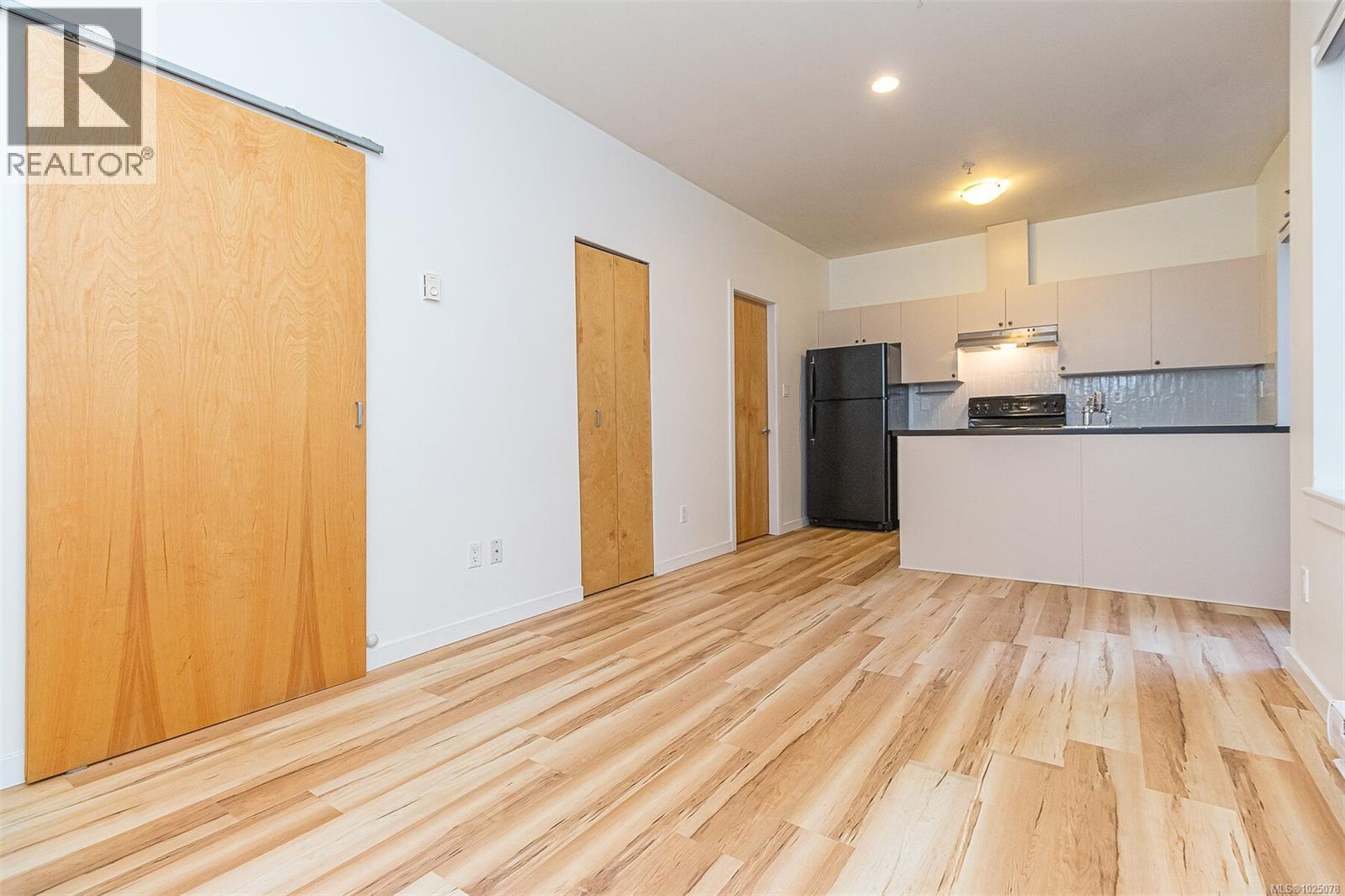 205 848 Mason St, Victoria, British Columbia  V8W 0A2 - Photo 5 - 1025078