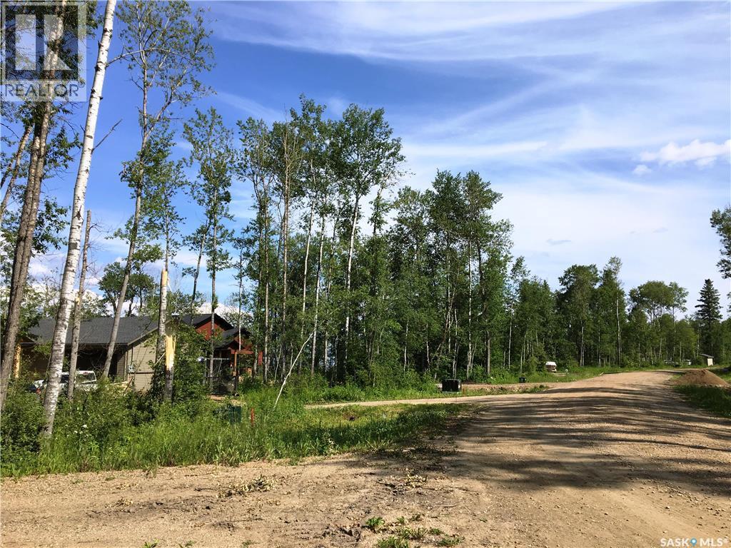 3 Wilson Crescent, Big River Rm No. 555, Saskatchewan  S0J 0E0 - Photo 7 - SK027950