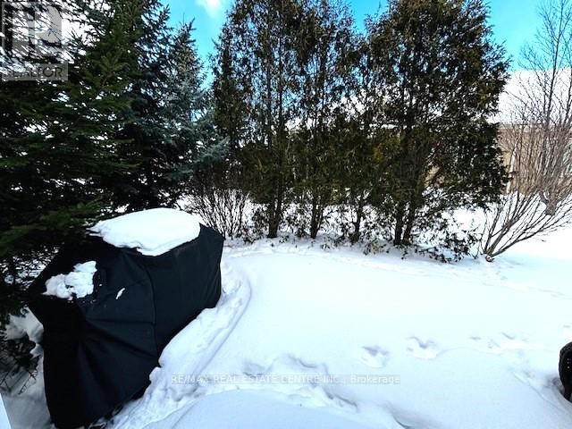 2 Alisma Trail, Brampton, Ontario  L6R 0Y8 - Photo 23 - W12758490