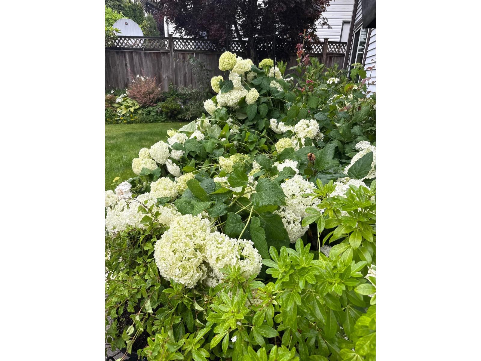 6853 Chalet Court, Delta, British Columbia  V4E 3C1 - Photo 35 - R3084621