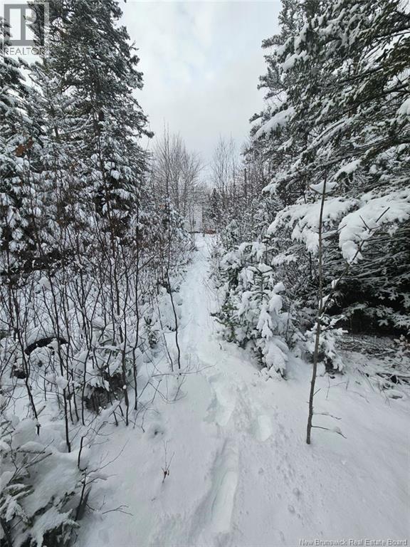 <h3>$59,990</h3><p>Lot Rues Des Pins, Shediac River, New Brunswick</p>