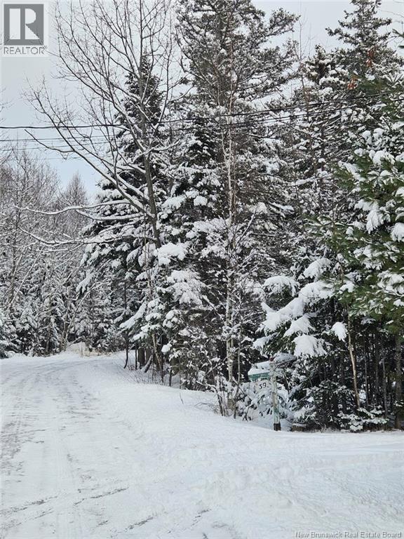 Lot Rues Des Pins, Shediac River, New Brunswick  E4R 1H2 - Photo 10 - NB133154