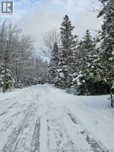 Lot Rues Des Pins, Shediac River, New Brunswick  E4R 1H2 - Photo 11 - NB133154
