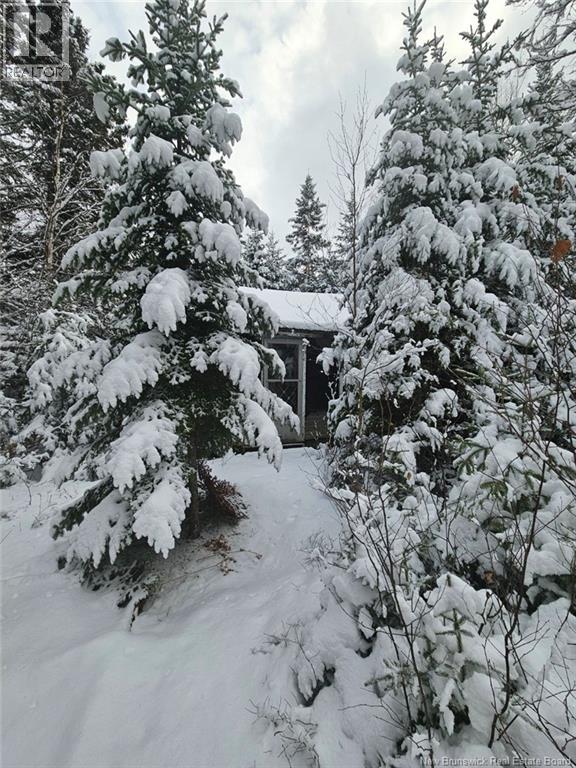 Lot Rues Des Pins, Shediac River, New Brunswick  E4R 1H2 - Photo 13 - NB133154