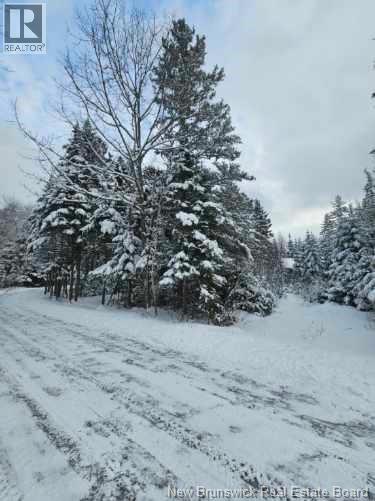 Lot Rues Des Pins, Shediac River, New Brunswick  E4R 1H2 - Photo 15 - NB133154