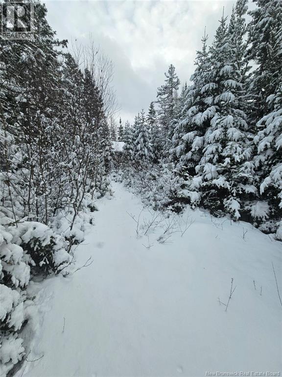 Lot Rues Des Pins, Shediac River, New Brunswick  E4R 1H2 - Photo 2 - NB133154