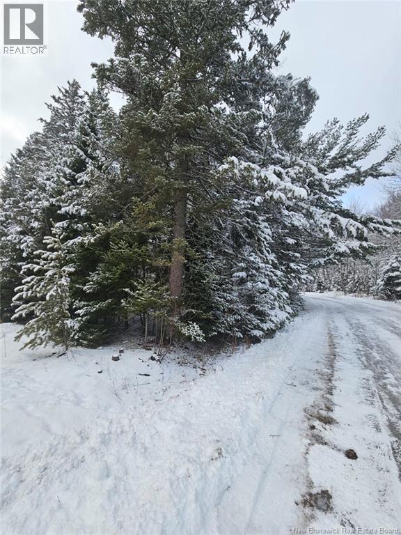Lot Rues Des Pins, Shediac River, New Brunswick  E4R 1H2 - Photo 3 - NB133154