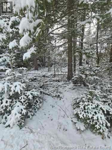 Lot Rues Des Pins, Shediac River, New Brunswick  E4R 1H2 - Photo 4 - NB133154