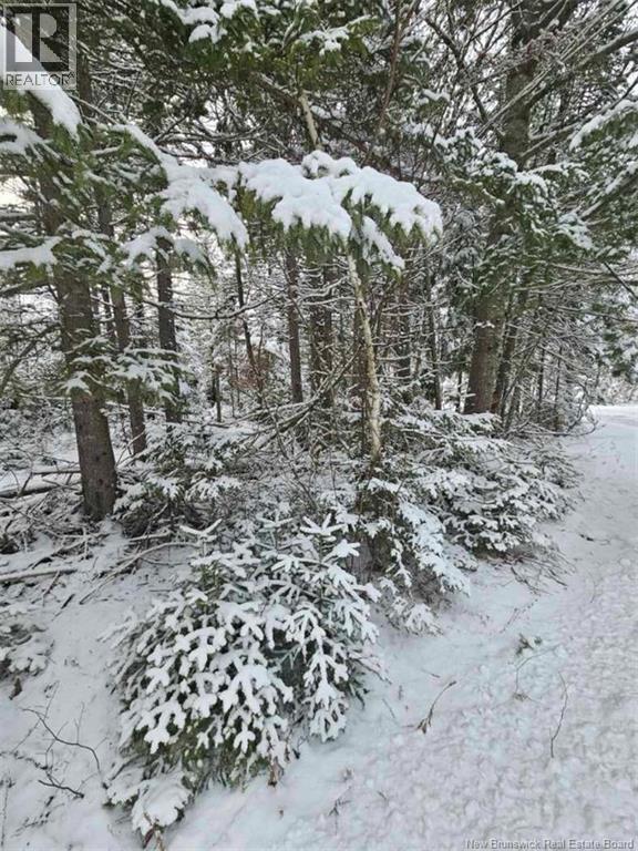 Lot Rues Des Pins, Shediac River, New Brunswick  E4R 1H2 - Photo 5 - NB133154